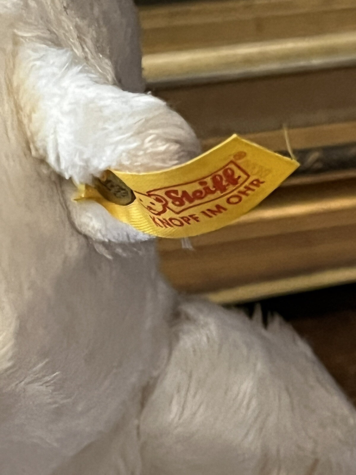 45281186