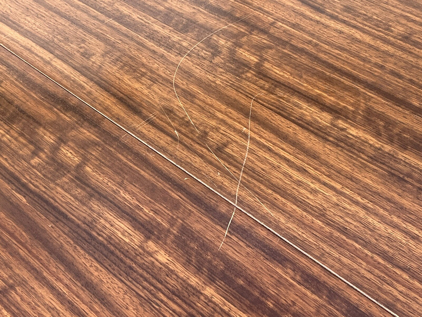 45235023