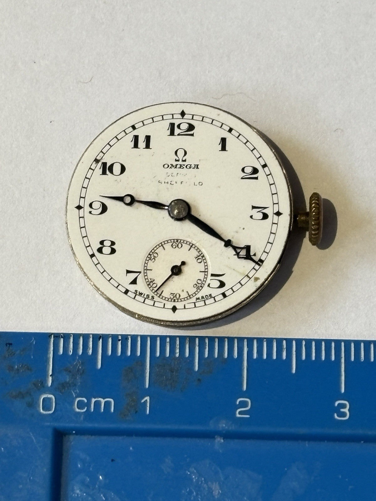 45663101