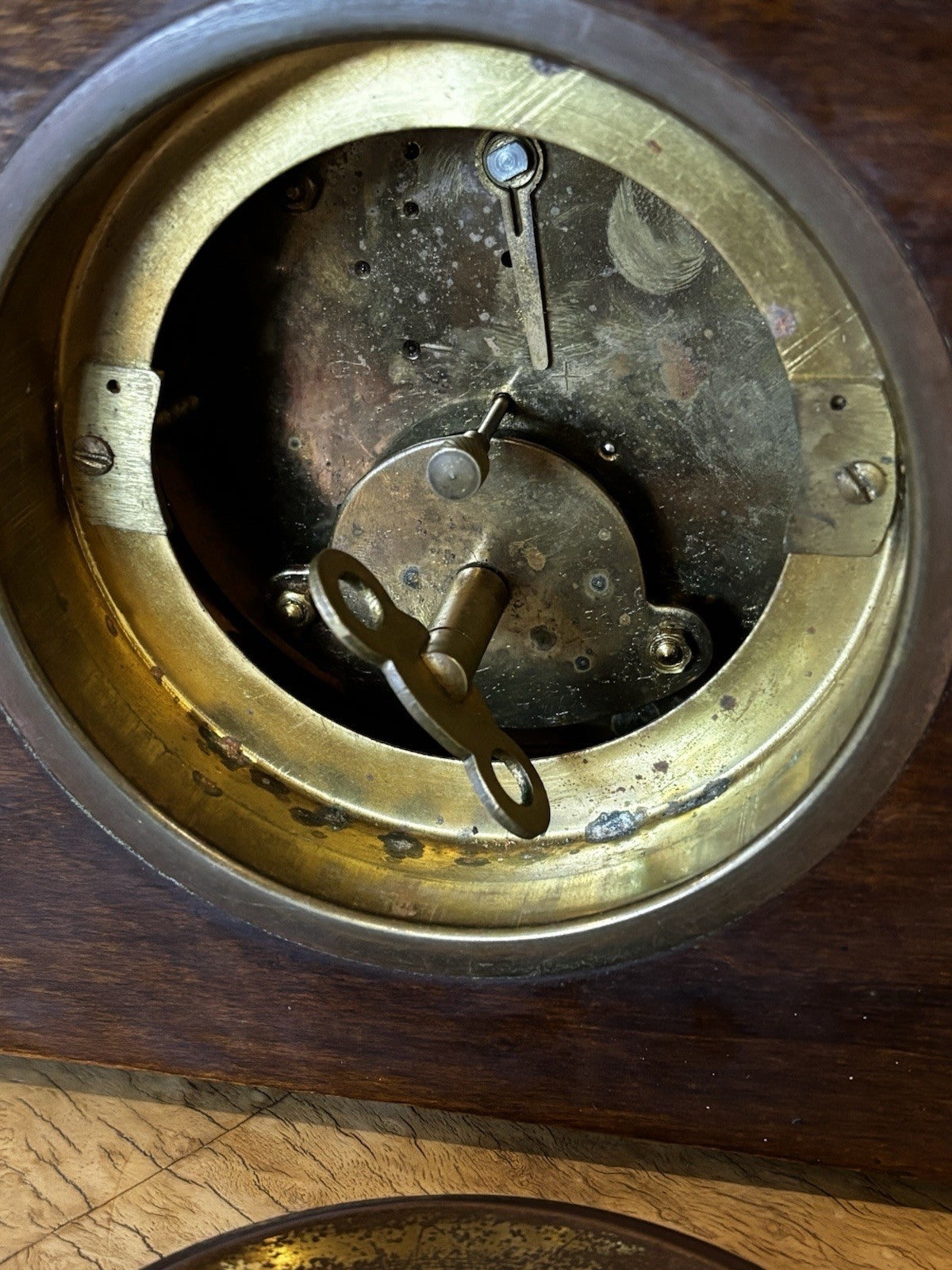 46909655