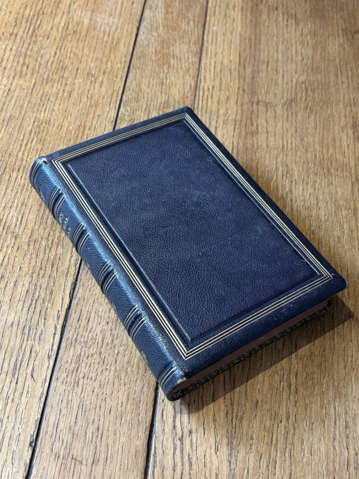 44541054