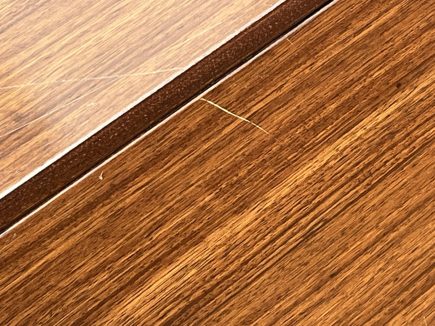 45235023