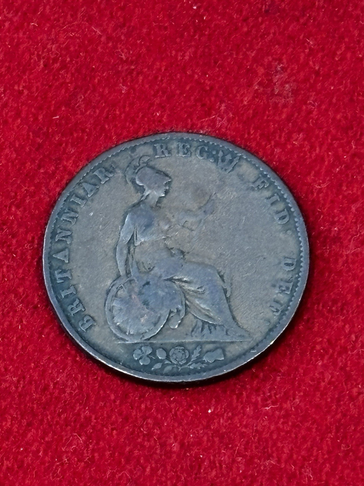 47691032