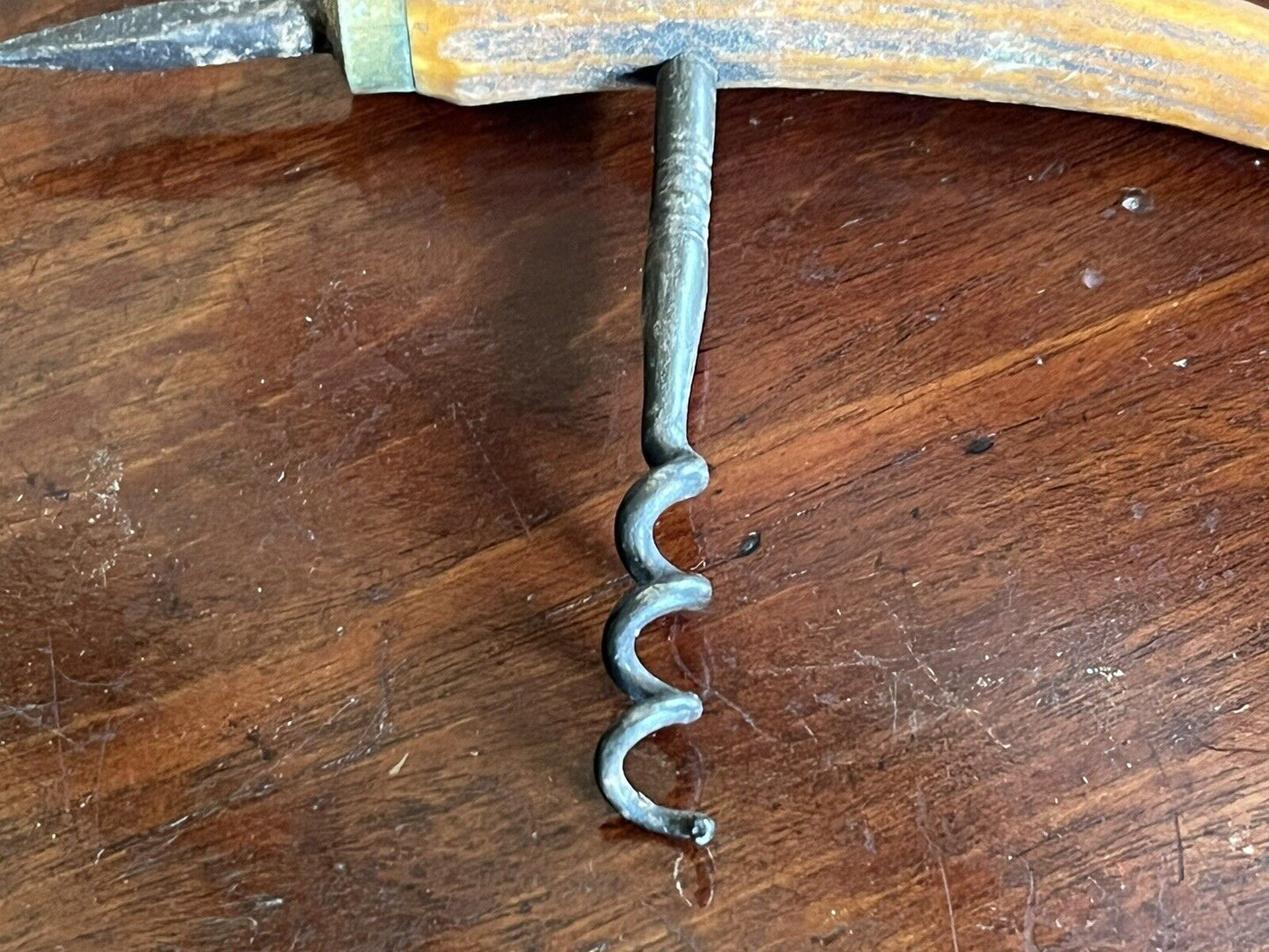 Antique Boars Tooth/Tusk Corkscrew