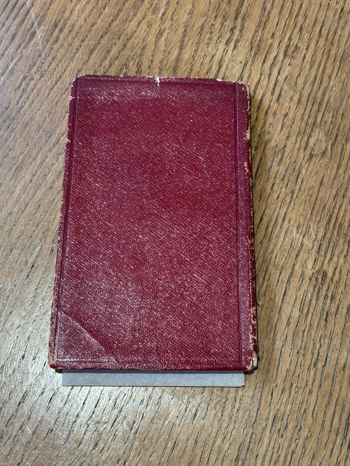 45666480