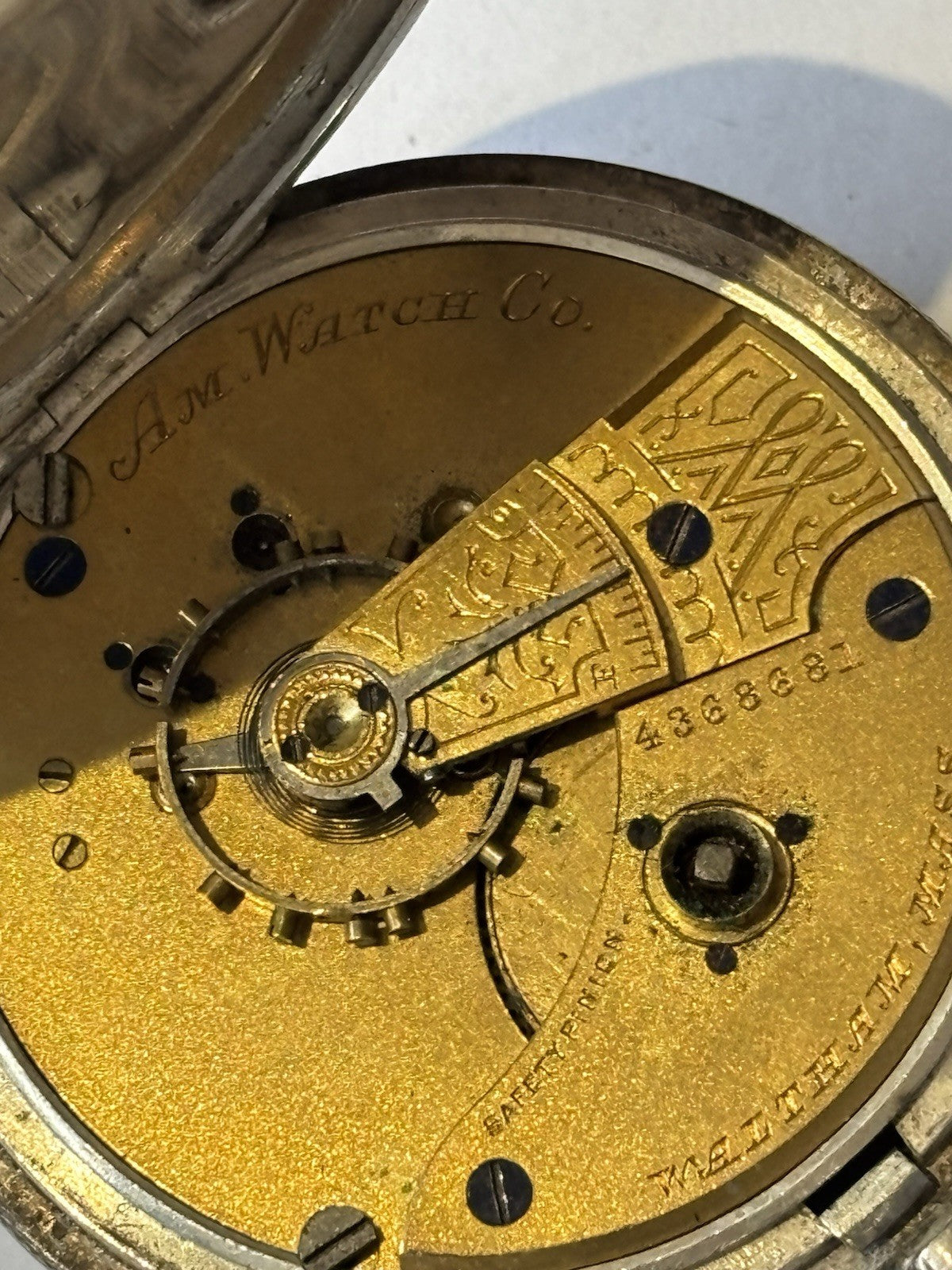 45510746