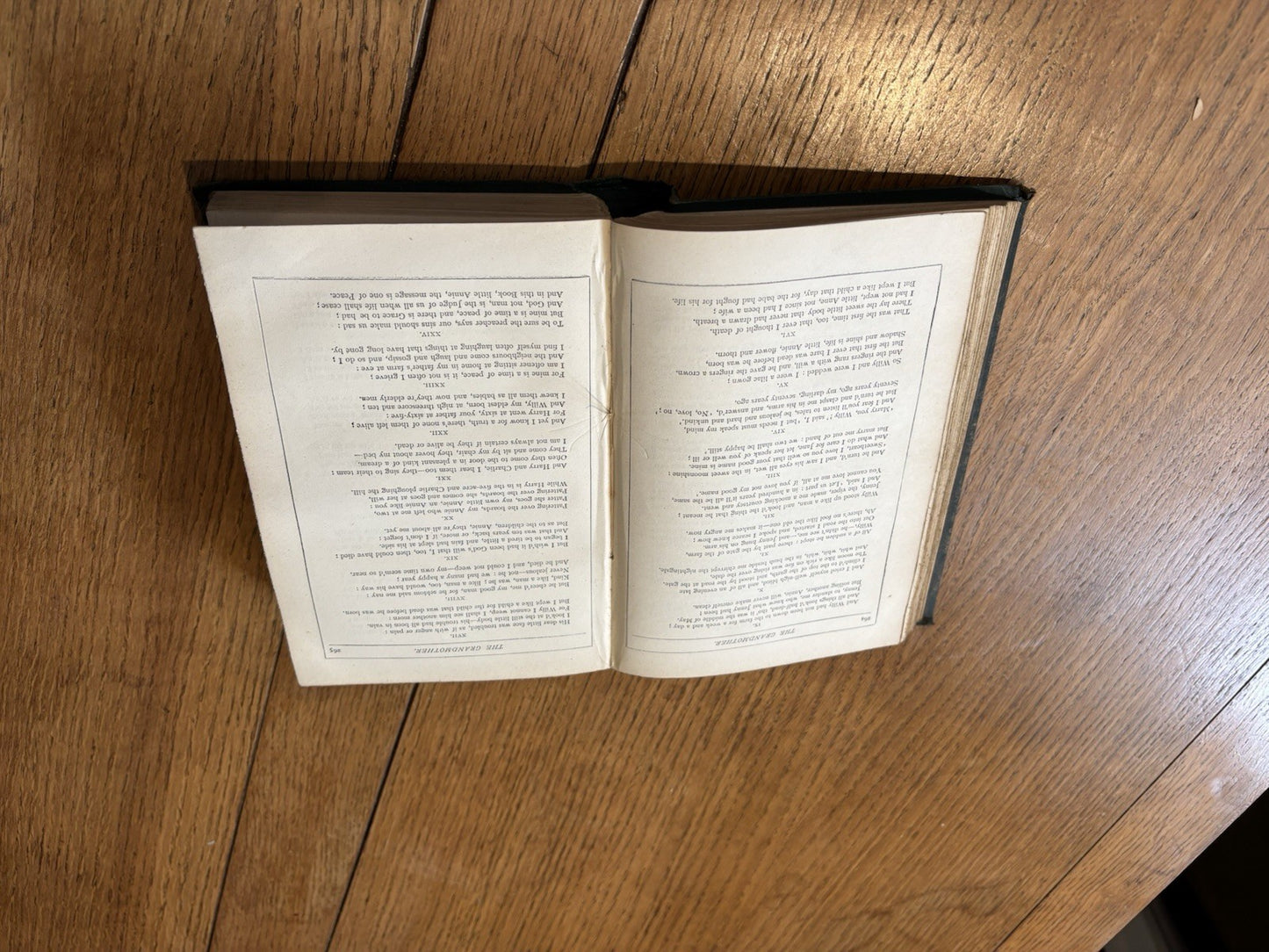 44541053
