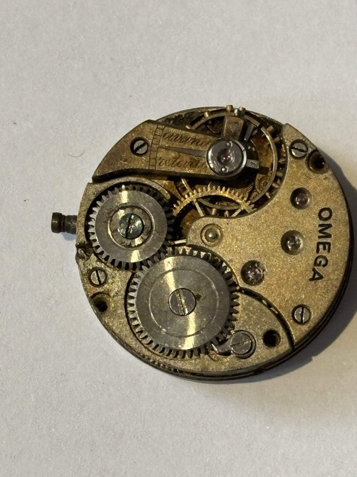 45663103