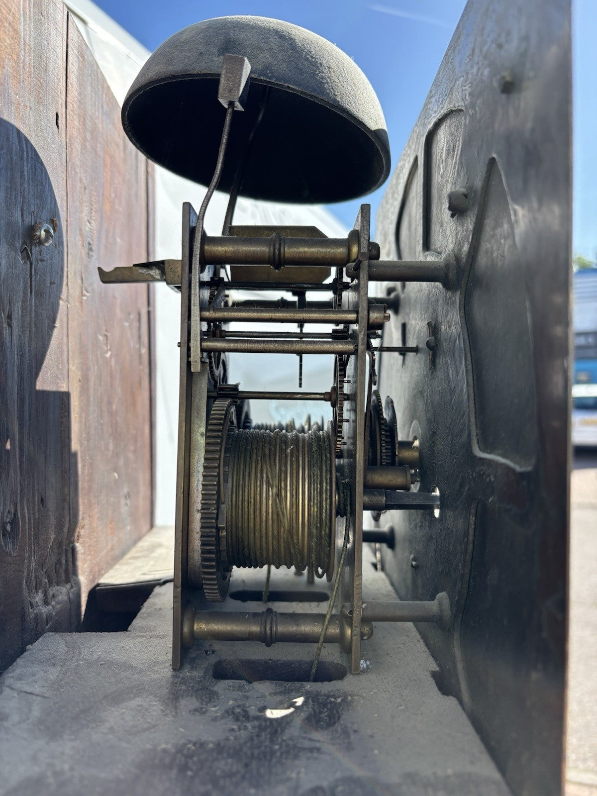 45513769