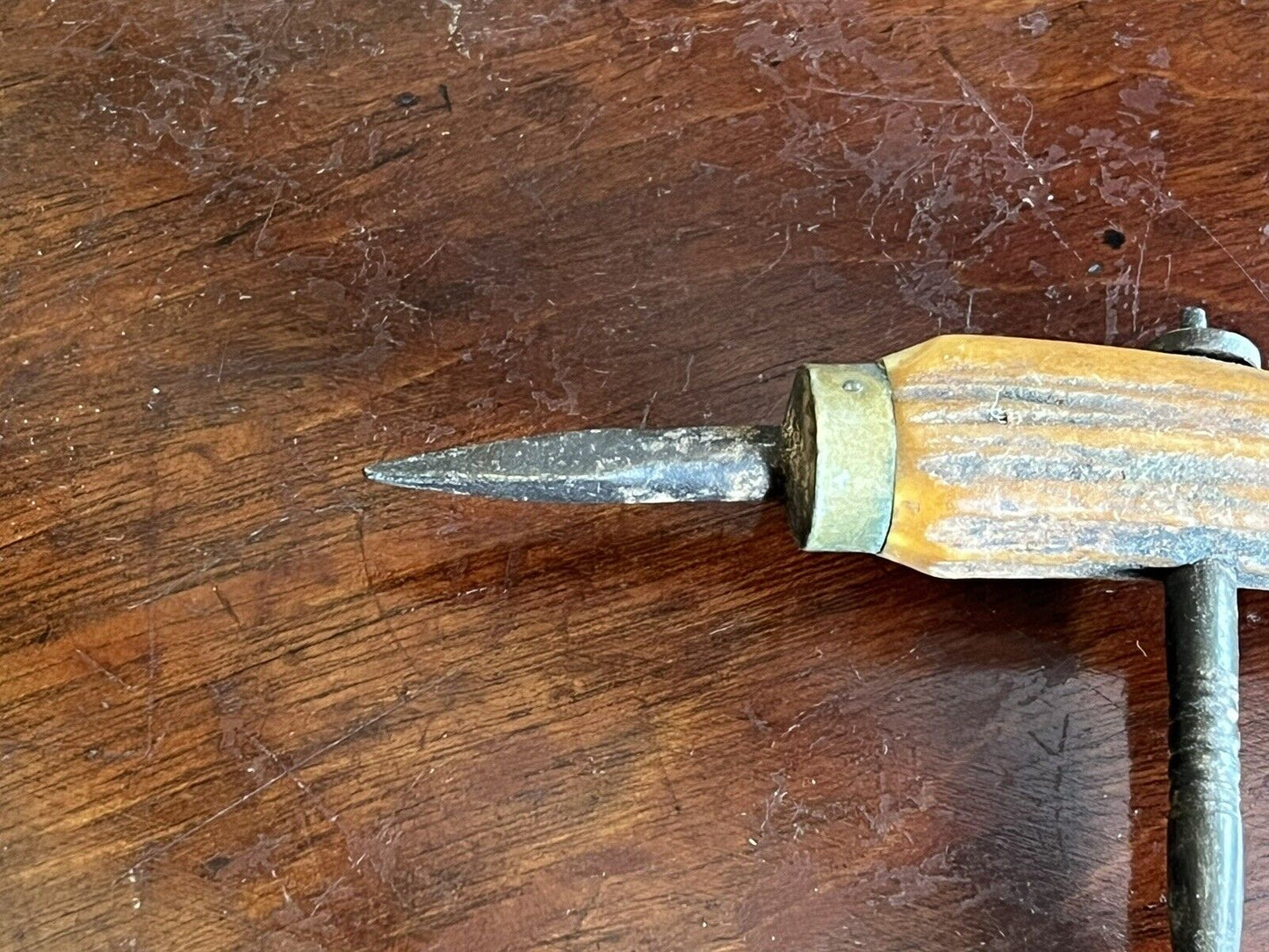 Antique Boars Tooth/Tusk Corkscrew