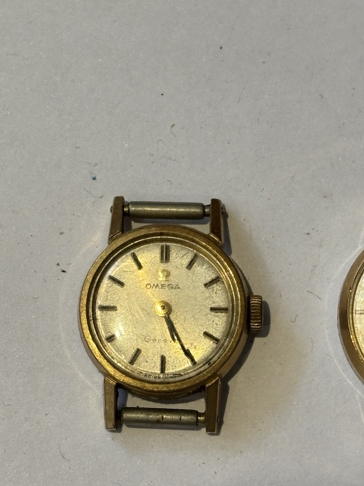 45726057