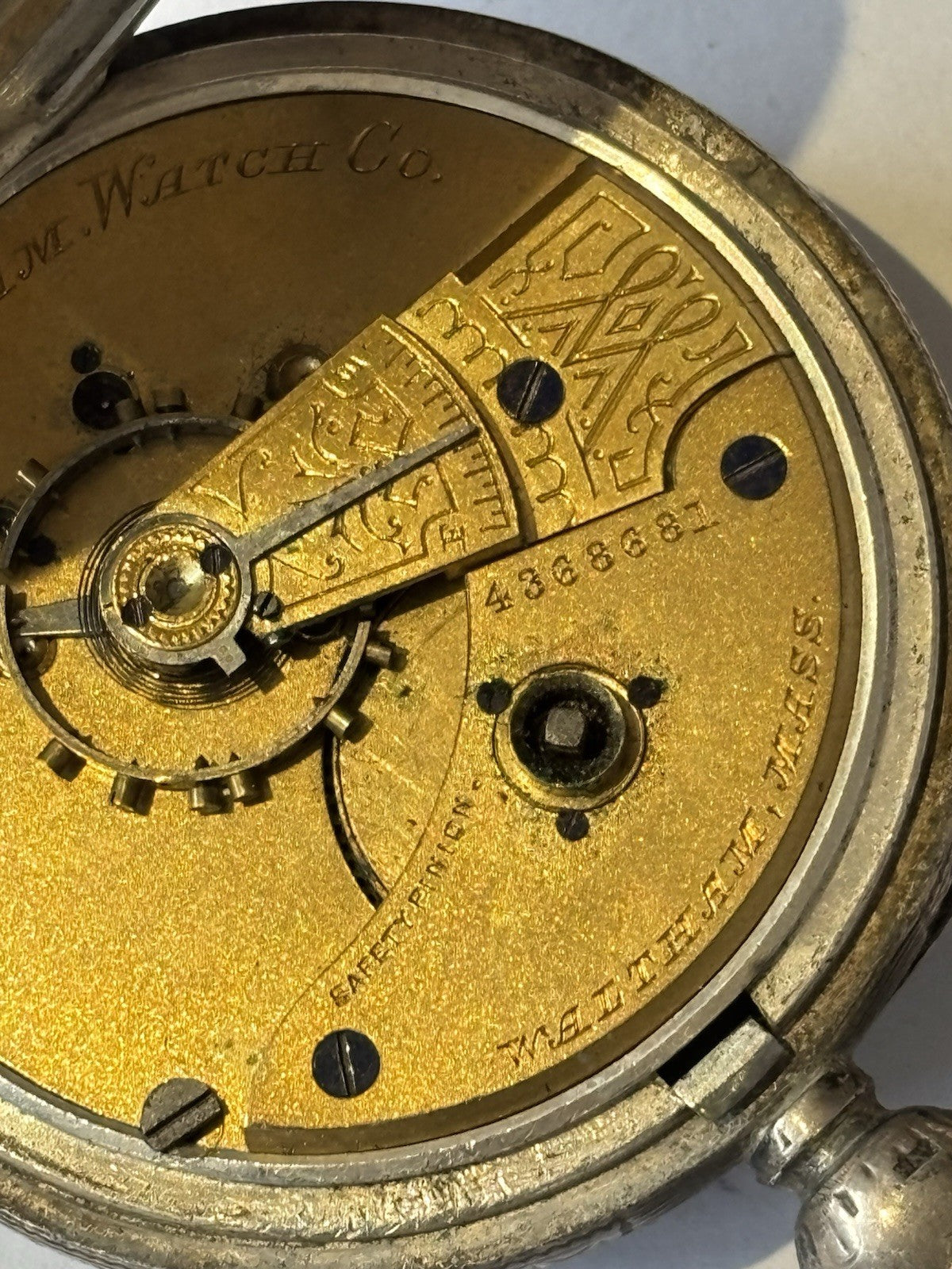 45510746