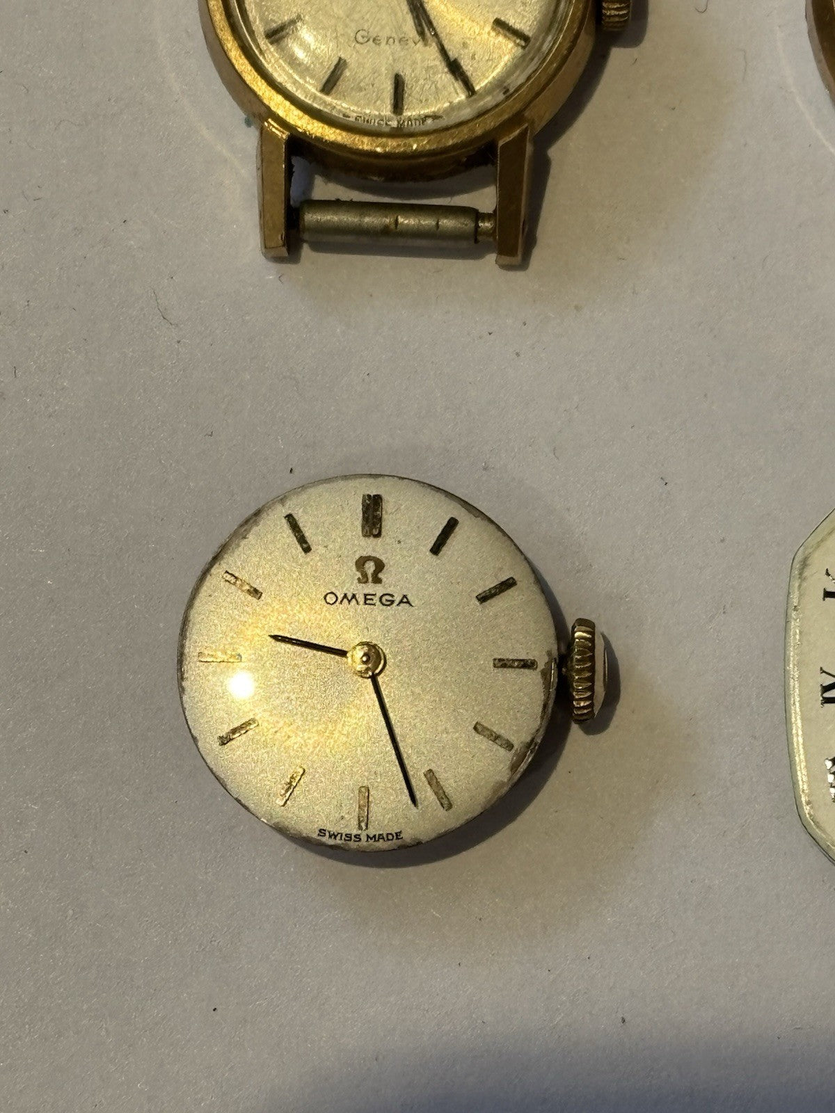 45726057