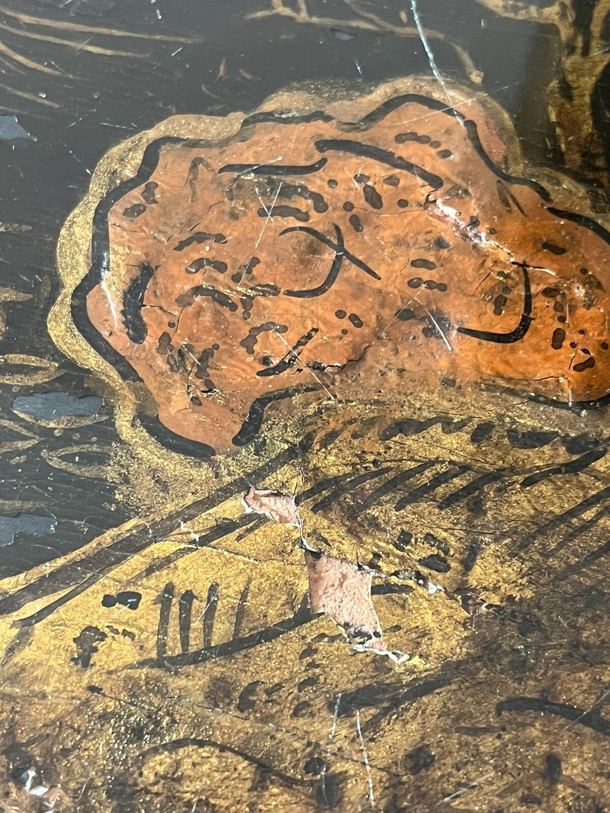 45086546
