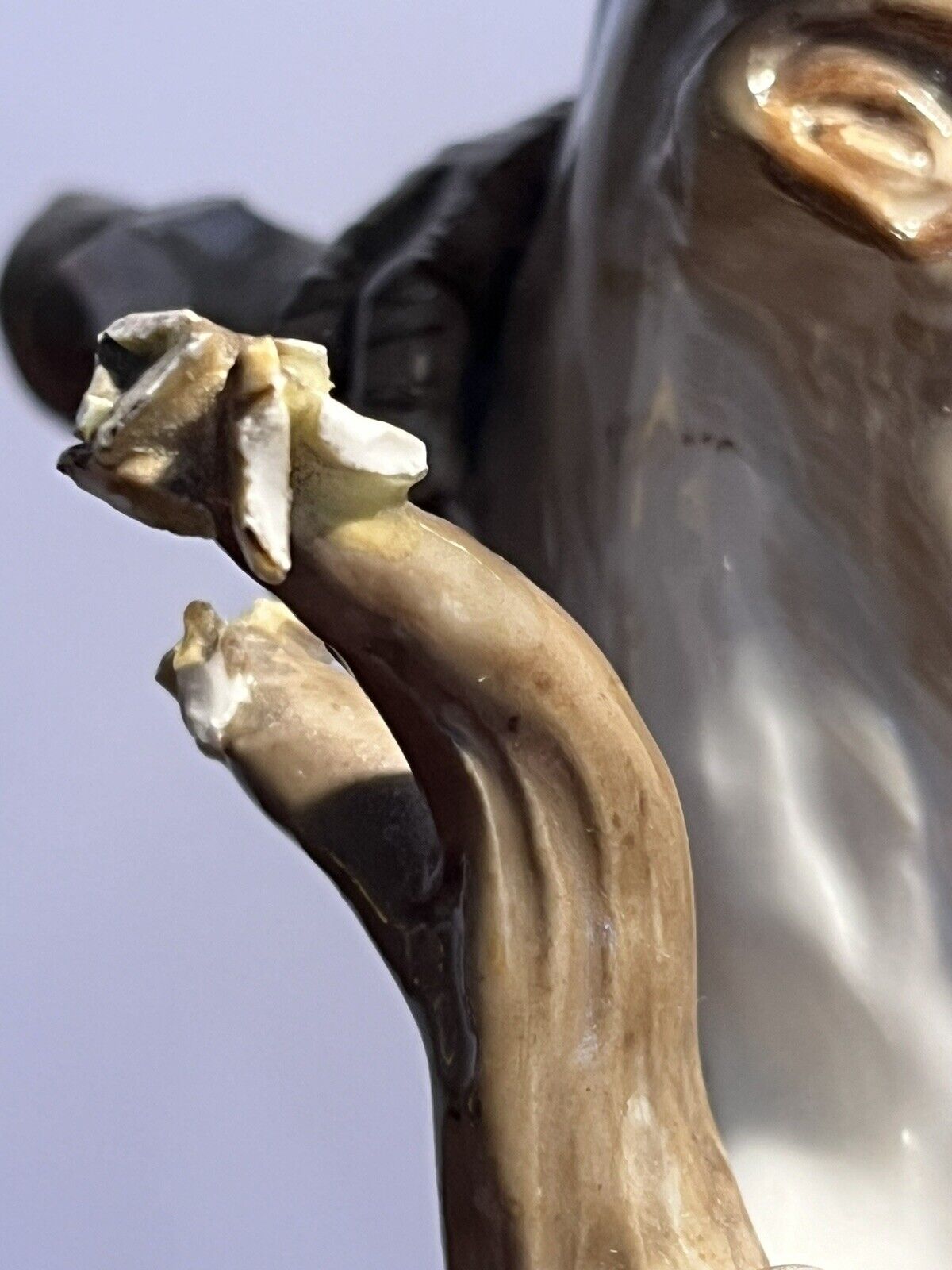 Meissen Parrot. Large In Size.