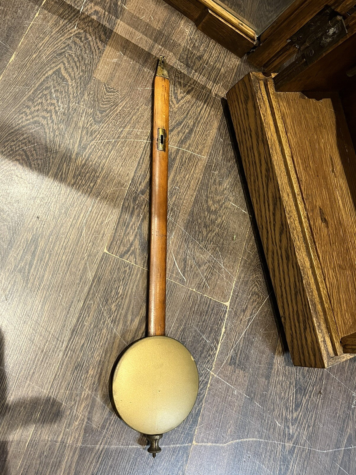 45203529