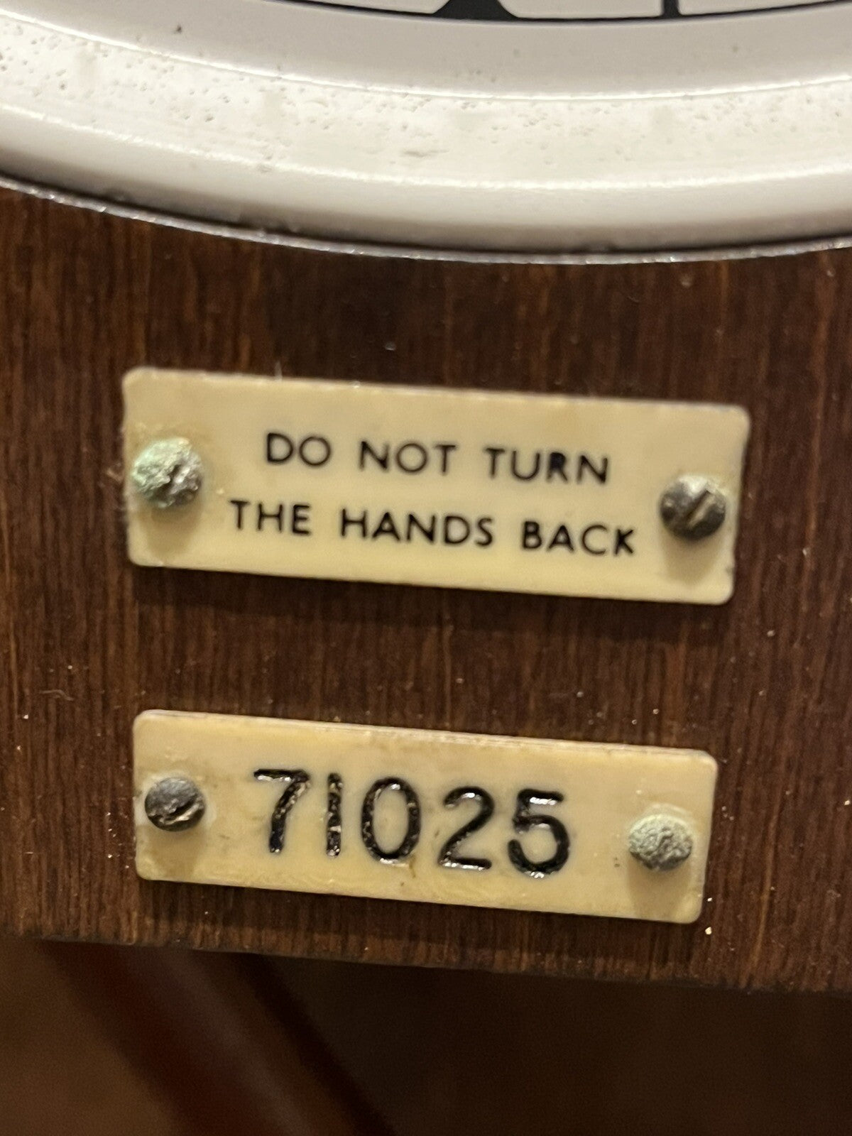 45203529