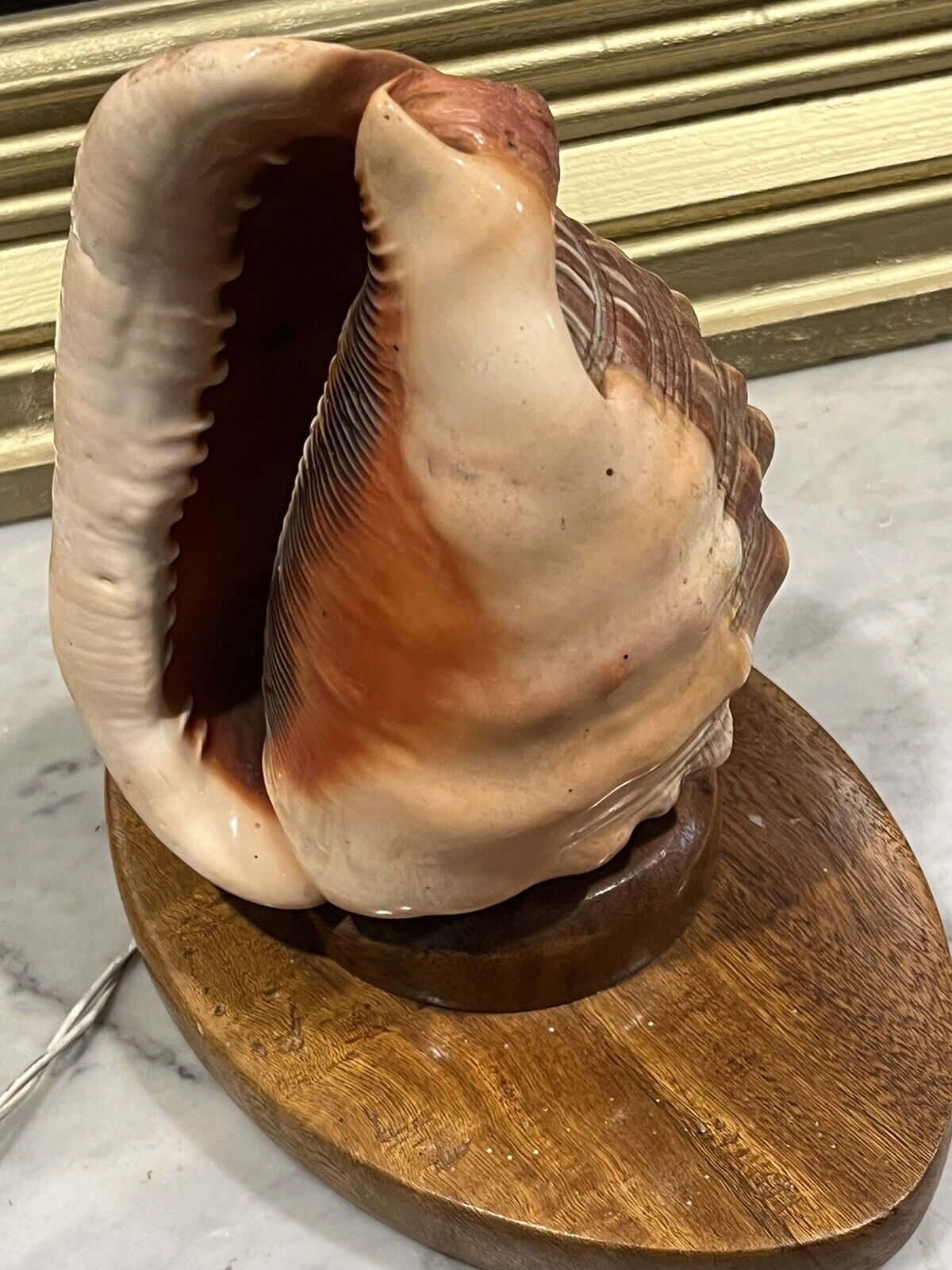 1950's Conch She'll Lamp, Night / Mood Light.