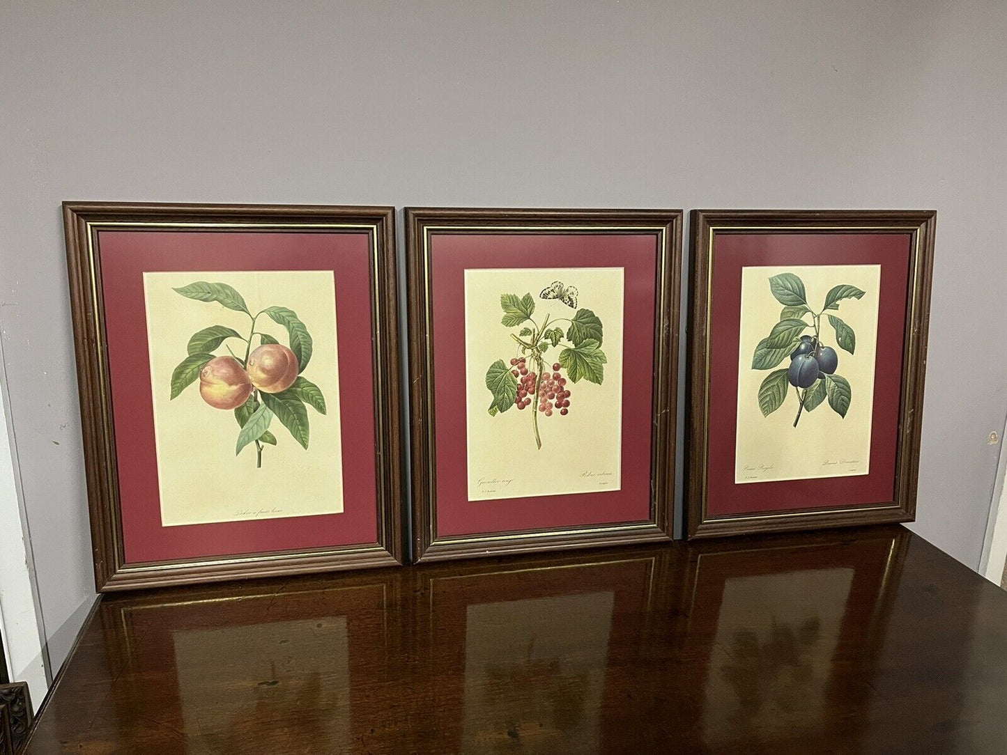 Studies of Fruit, 3 Framed Colour Prints. We Ship Worldwide.