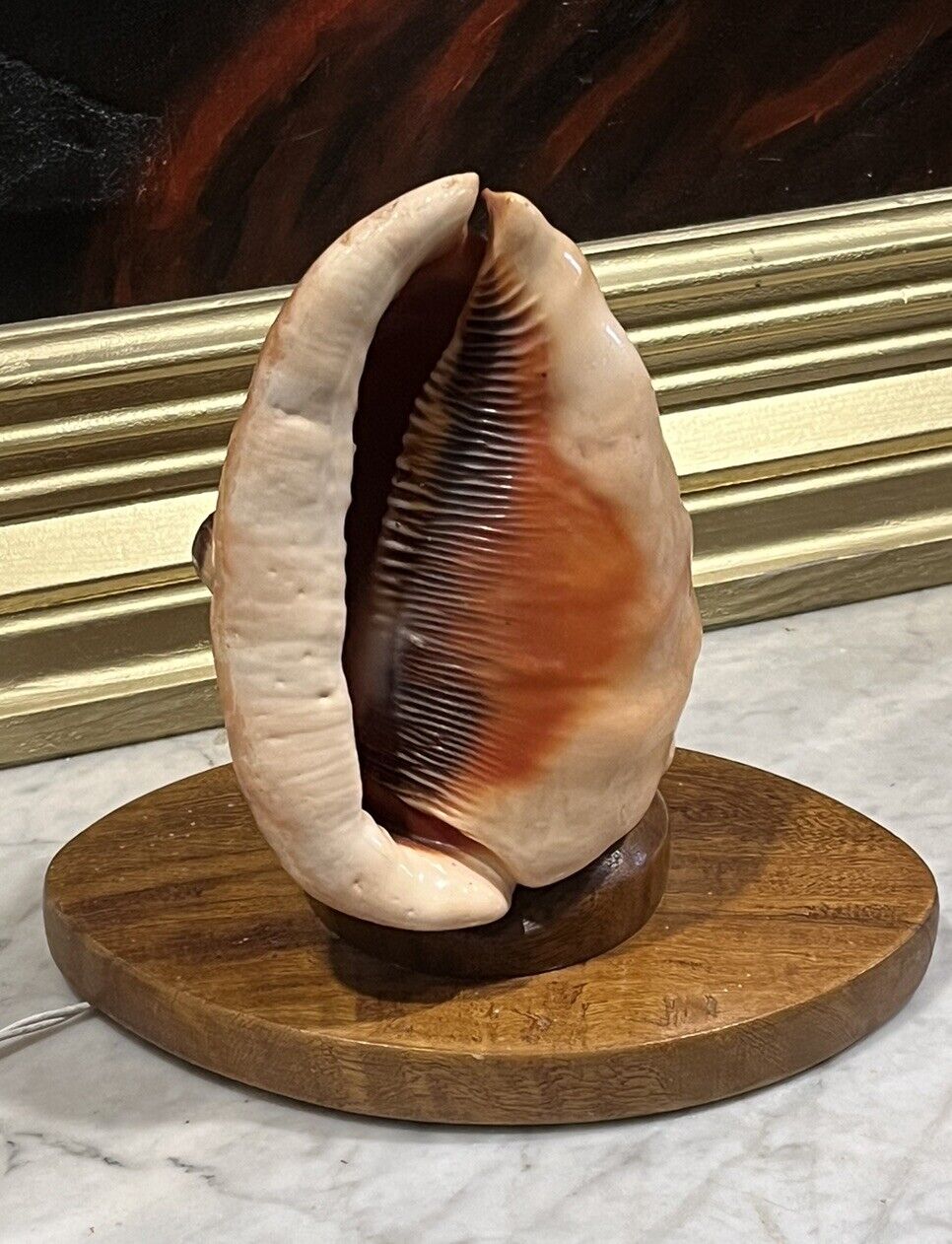 1950's Conch She'll Lamp, Night / Mood Light.