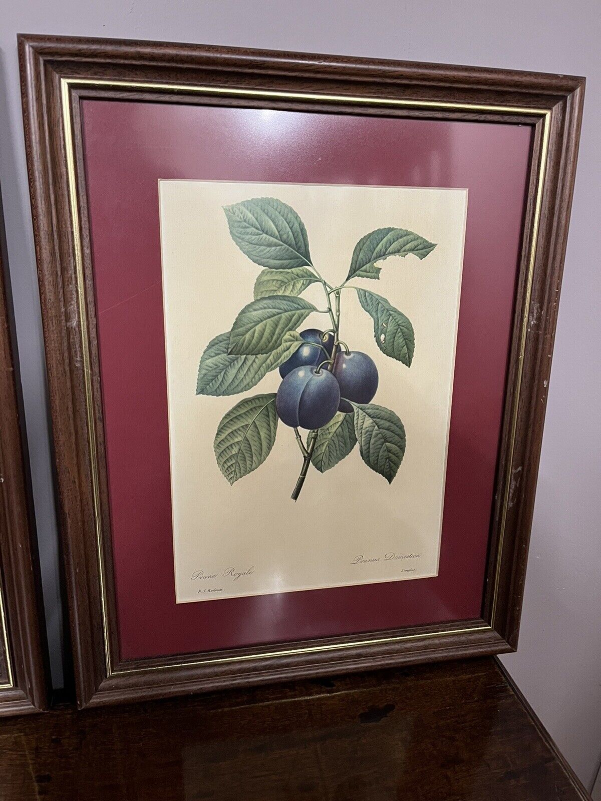 Studies of Fruit, 3 Framed Colour Prints. We Ship Worldwide.