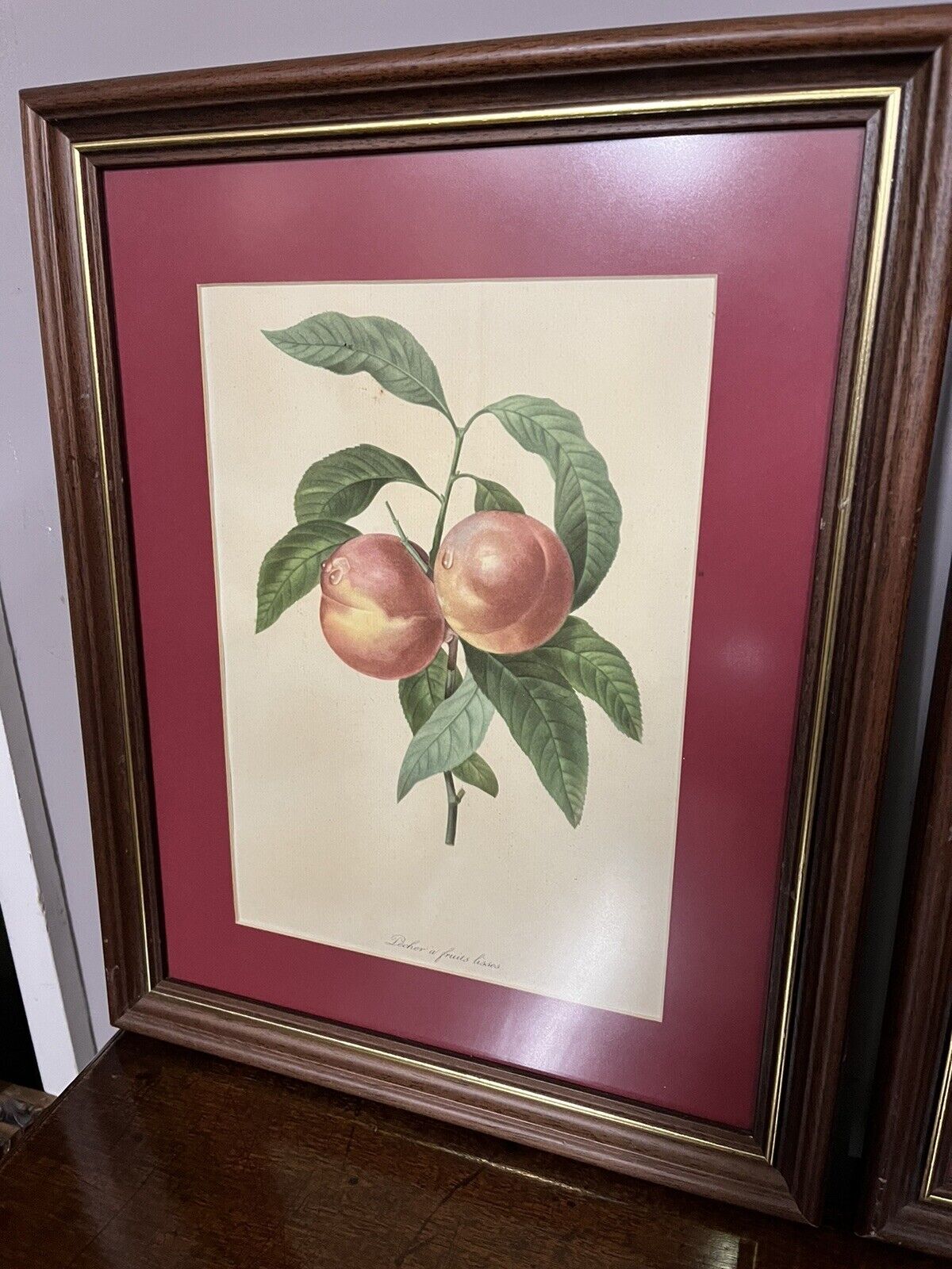 Studies of Fruit, 3 Framed Colour Prints. We Ship Worldwide.