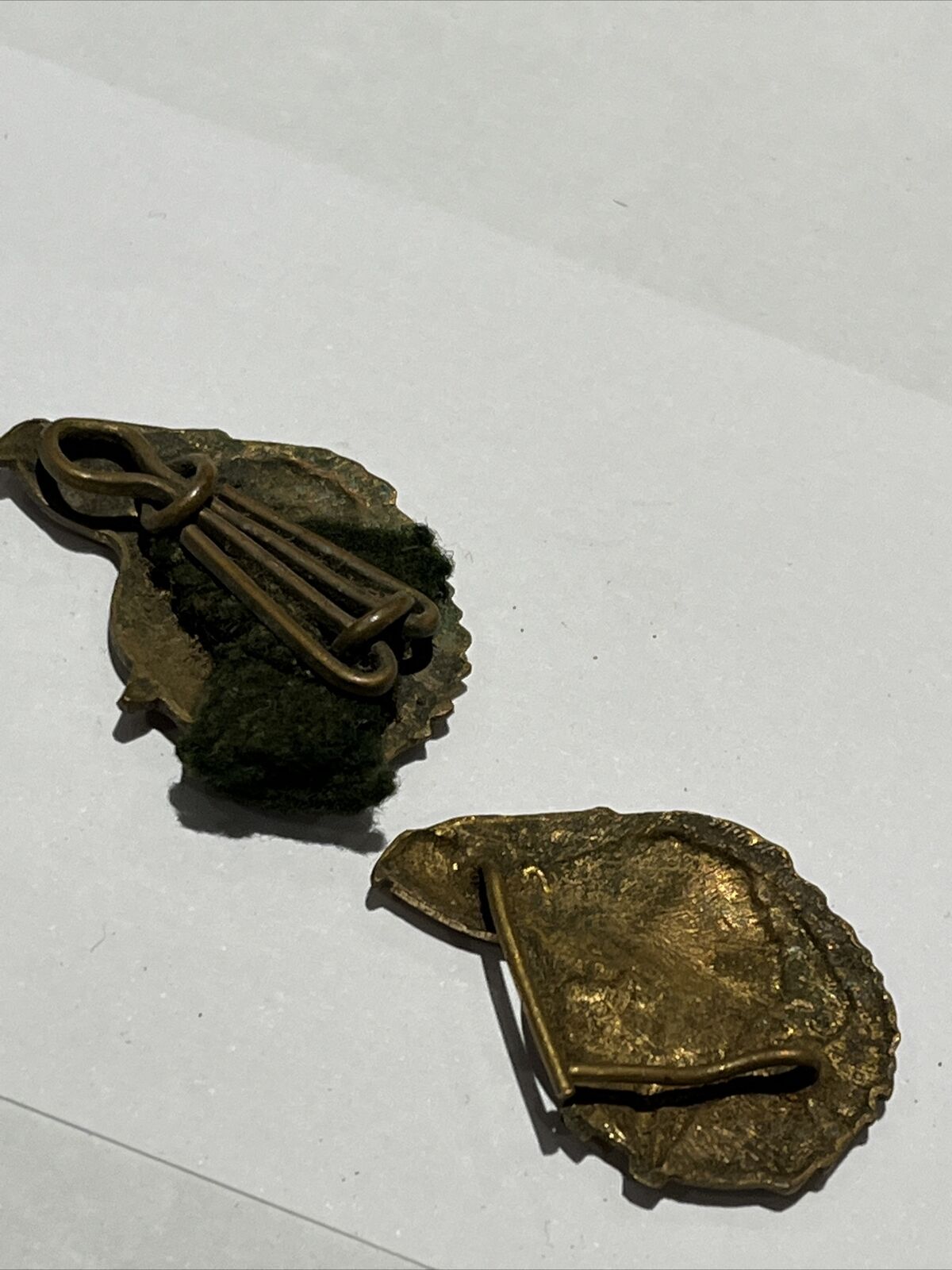 Pair Of Cap Badges
