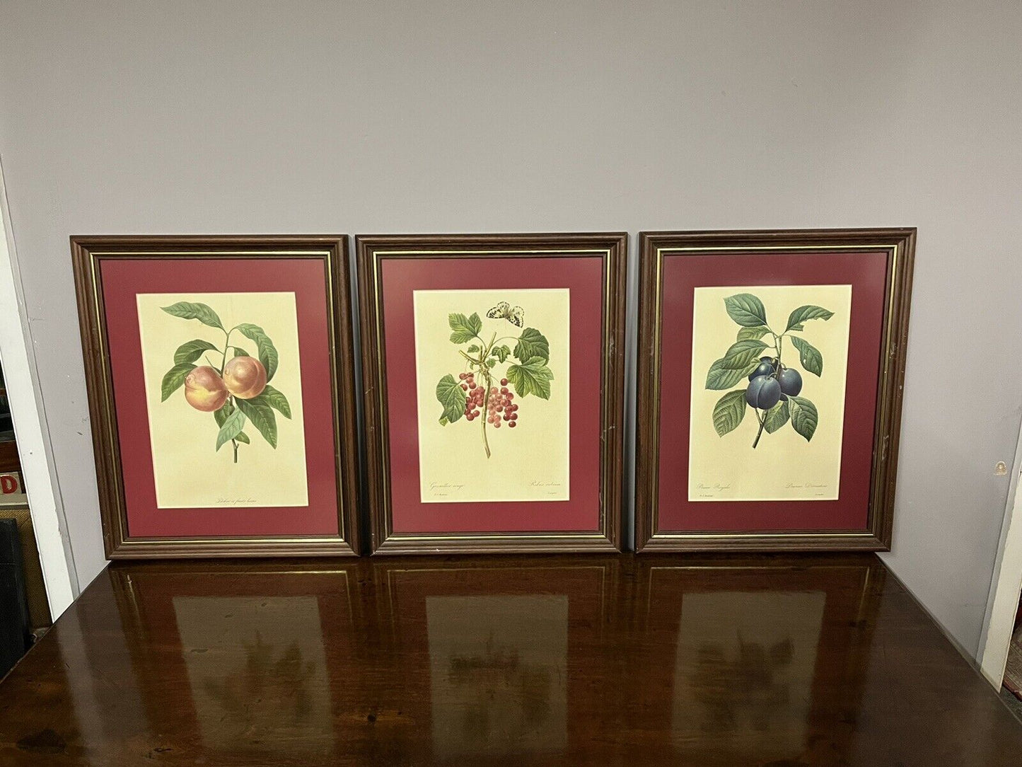 Studies of Fruit, 3 Framed Colour Prints. We Ship Worldwide.