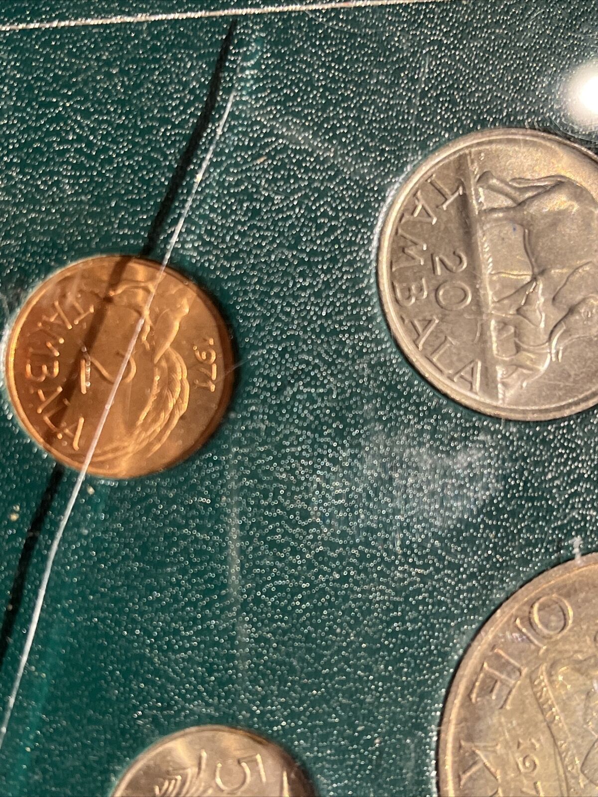Coin Collection