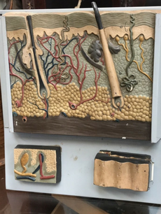 Antique & Vintage Decor and Novelty Items
