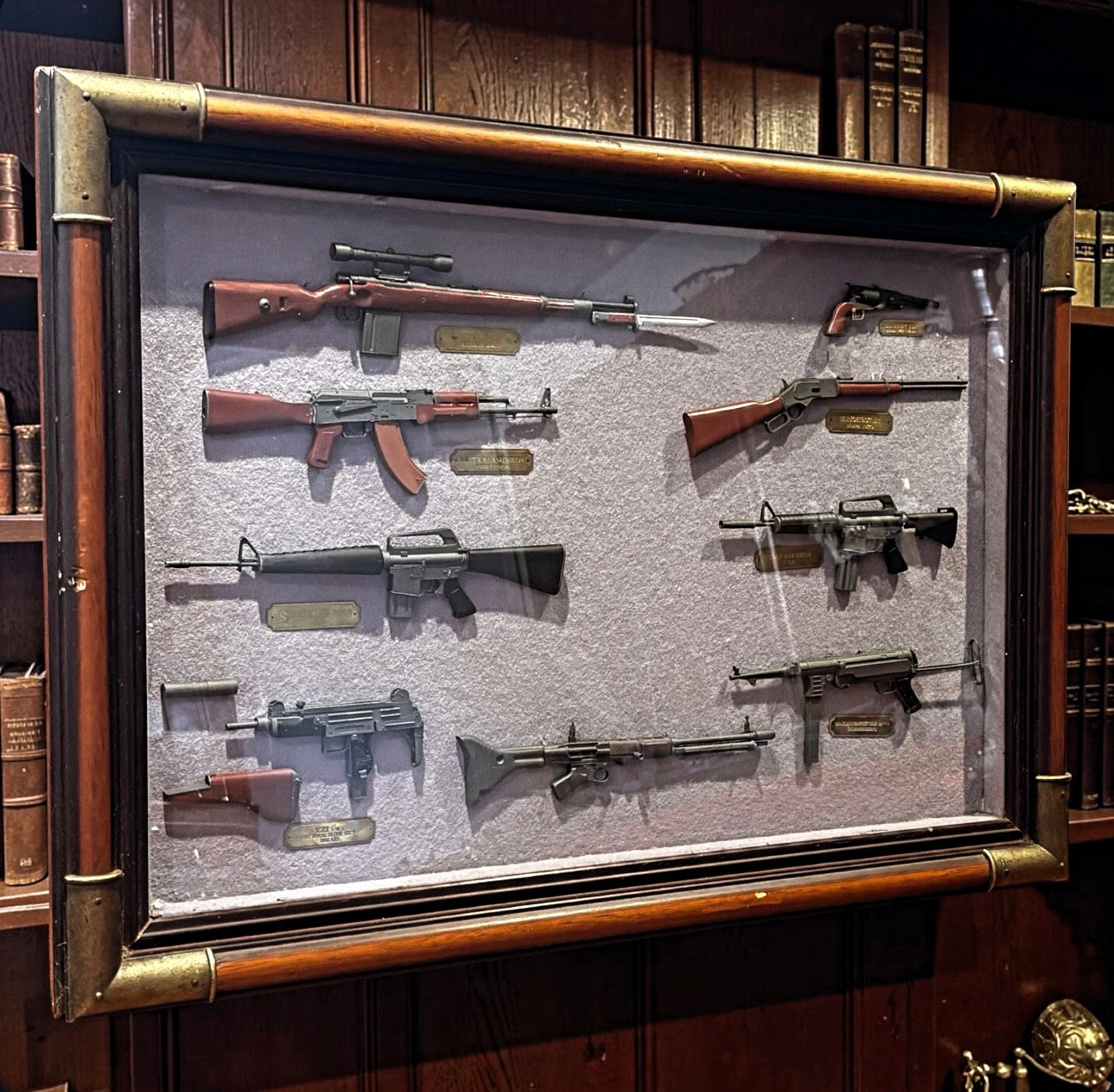Gun Shop Display