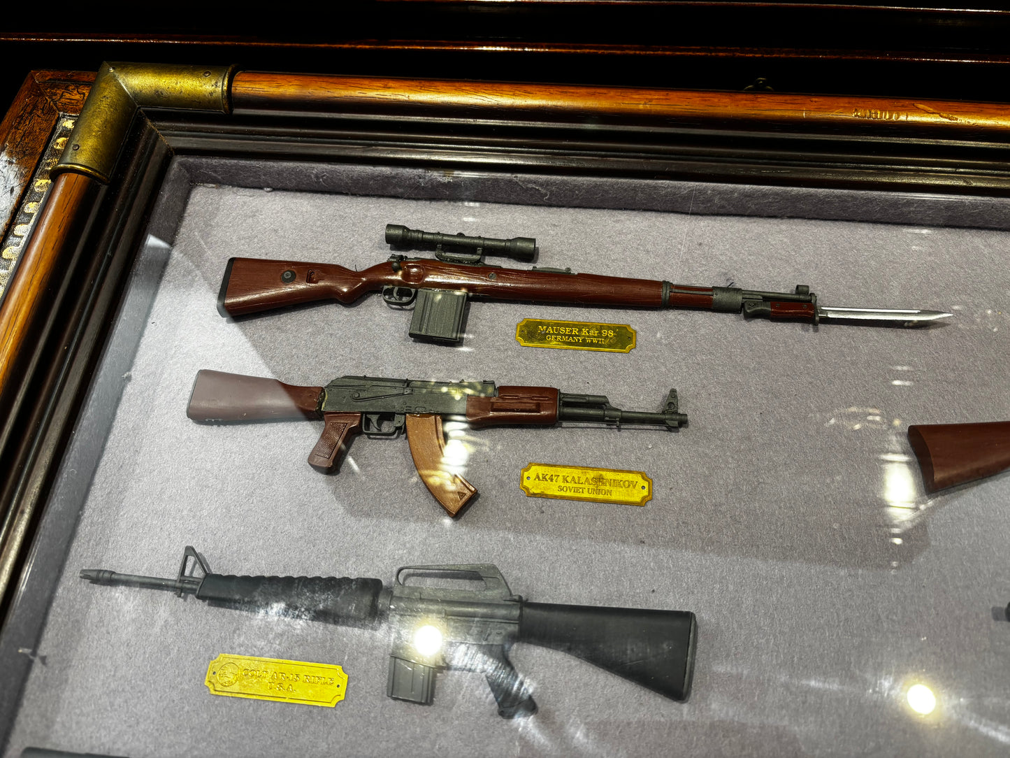 Gun Shop Display