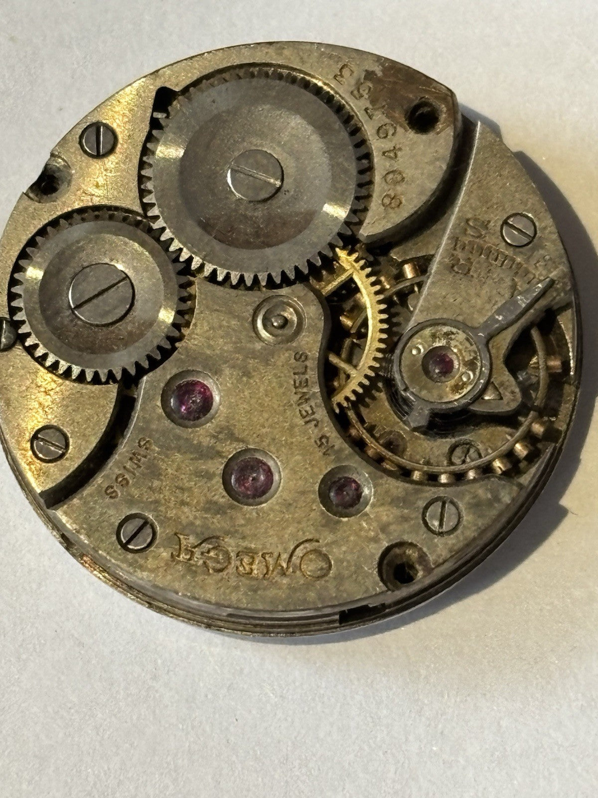 45663101