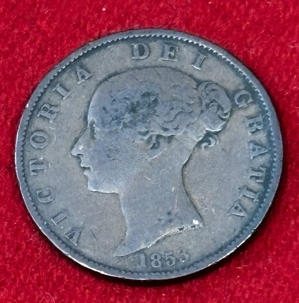 47691032