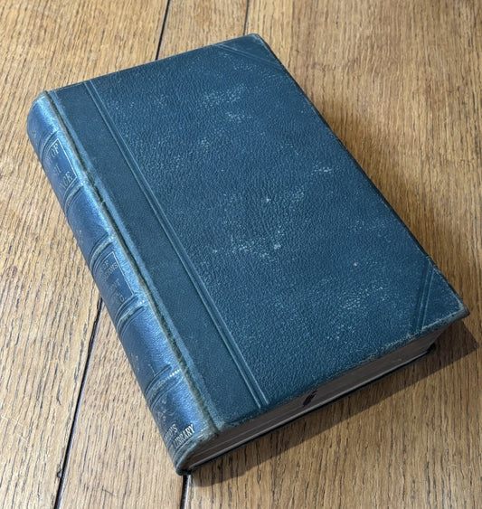 44541056
