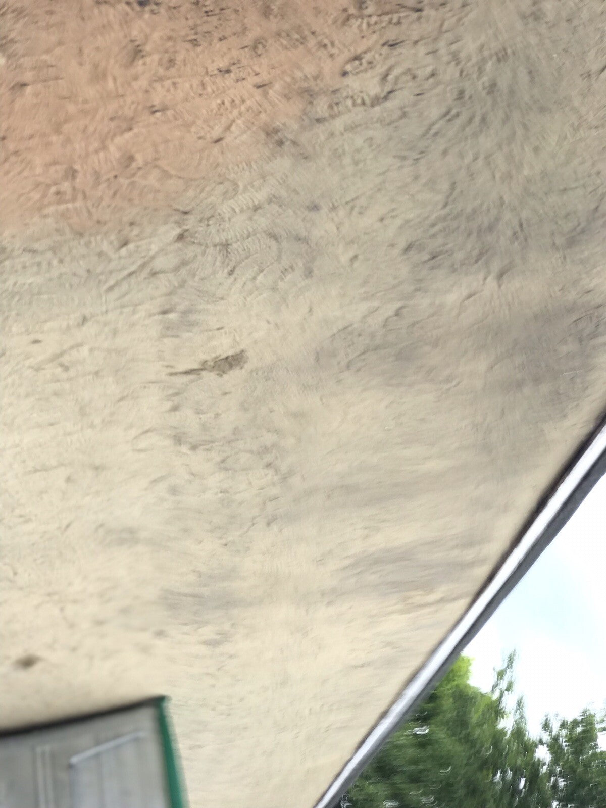 47649180
