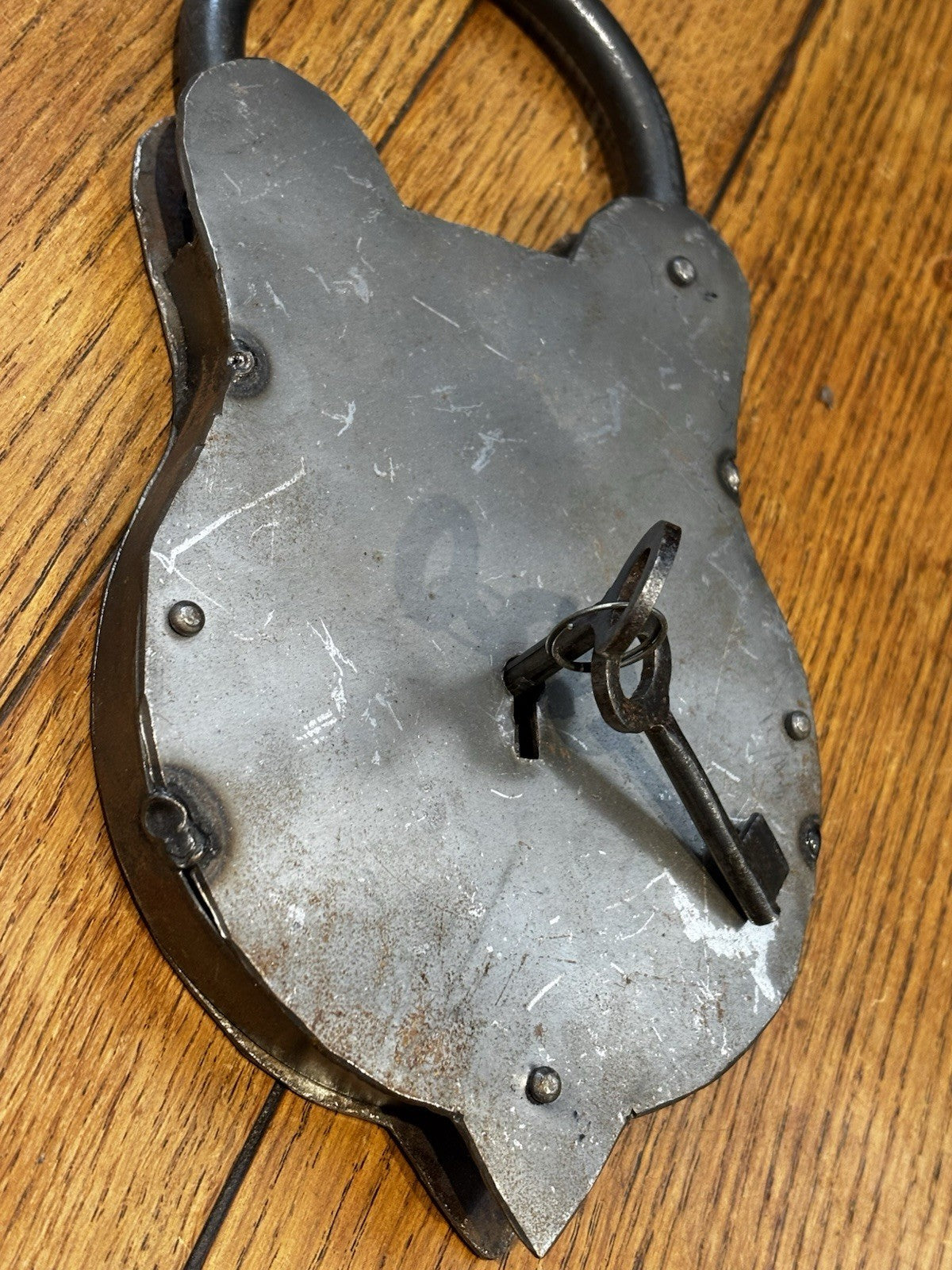 47658029