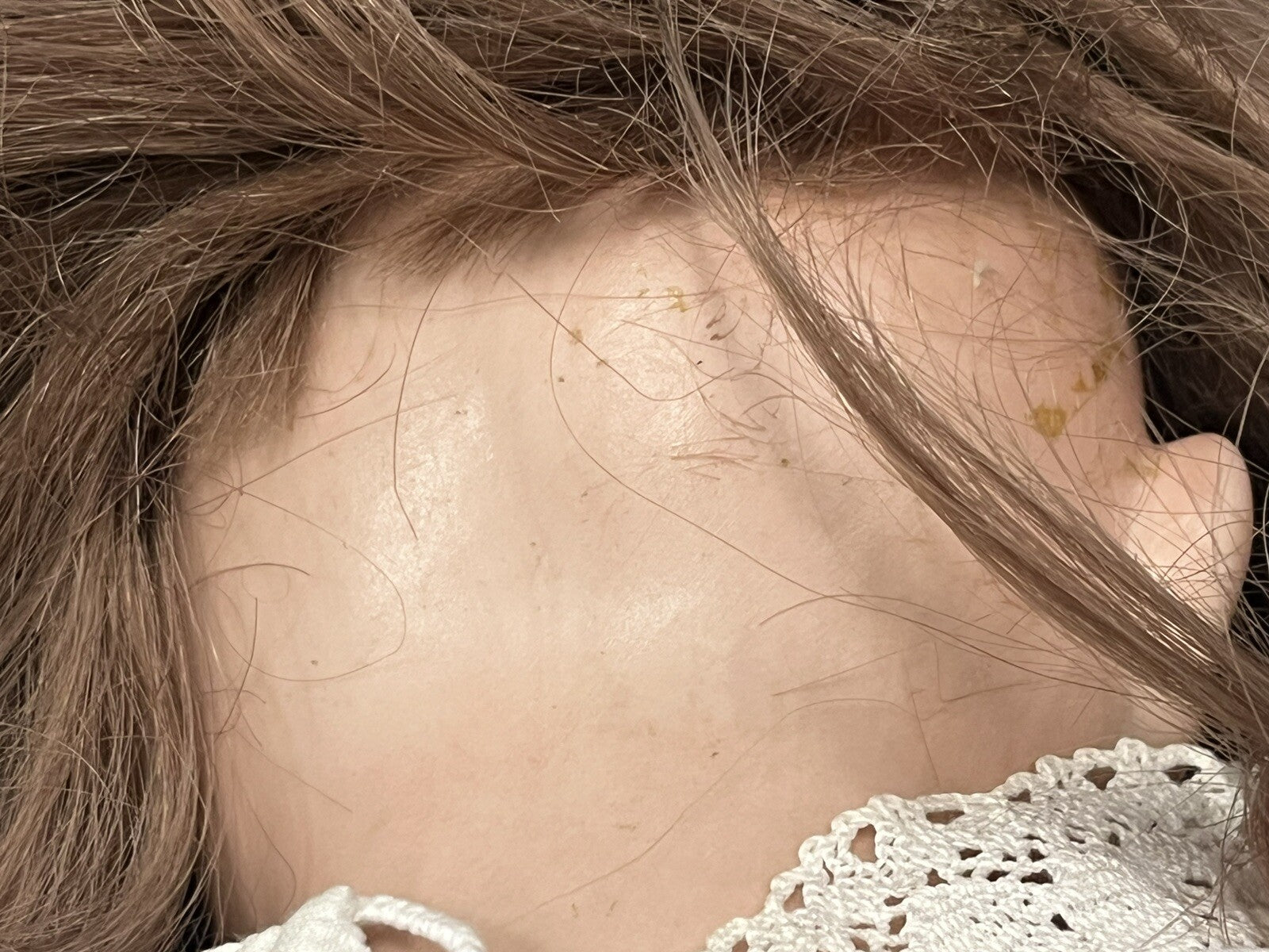 47653763