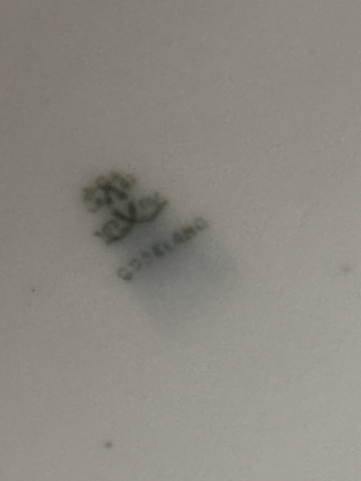 47691244