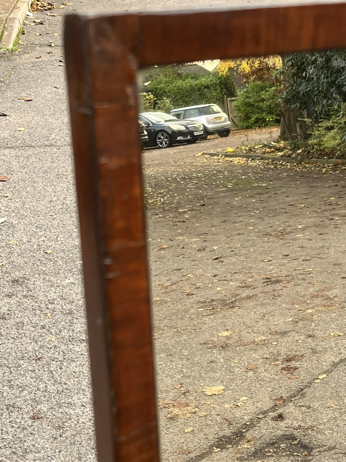 47651994