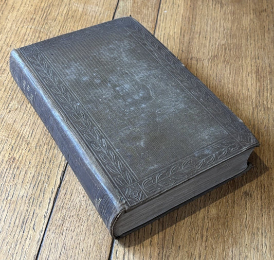 44541005