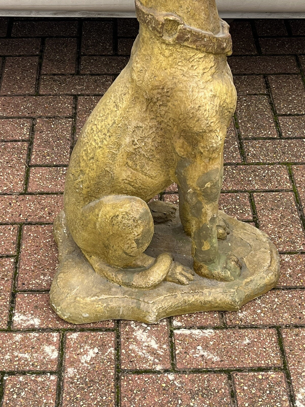 47690836