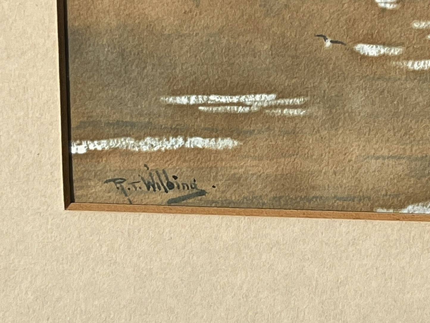 47658146