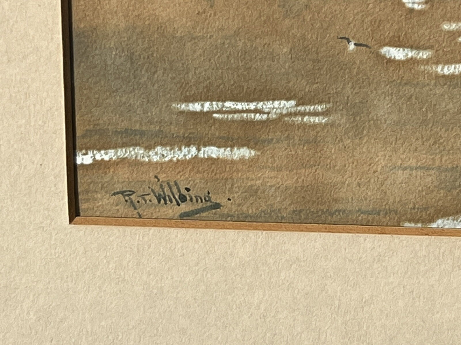 47658146