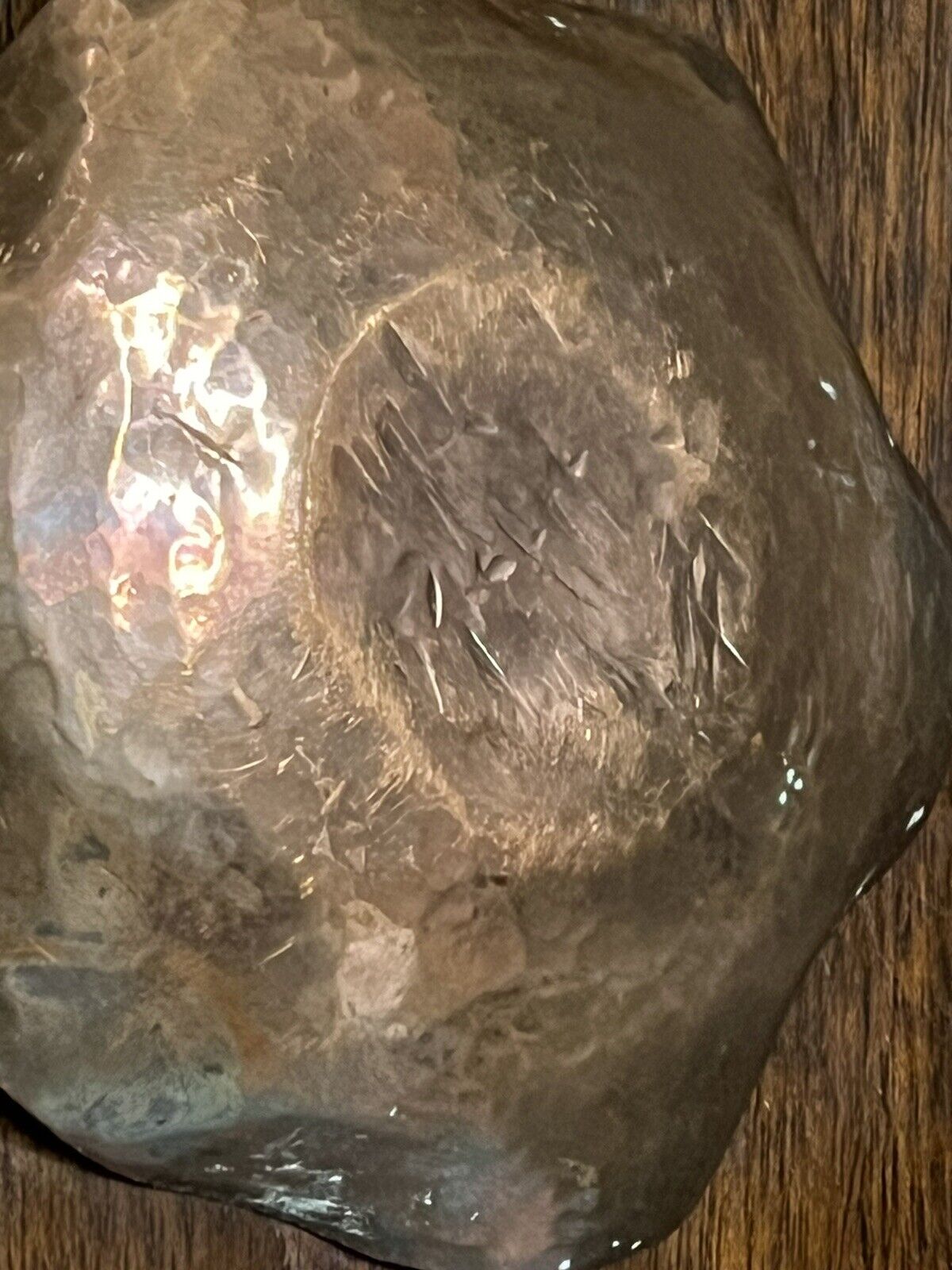 Copper Coin Dishes. Irish & French Coins