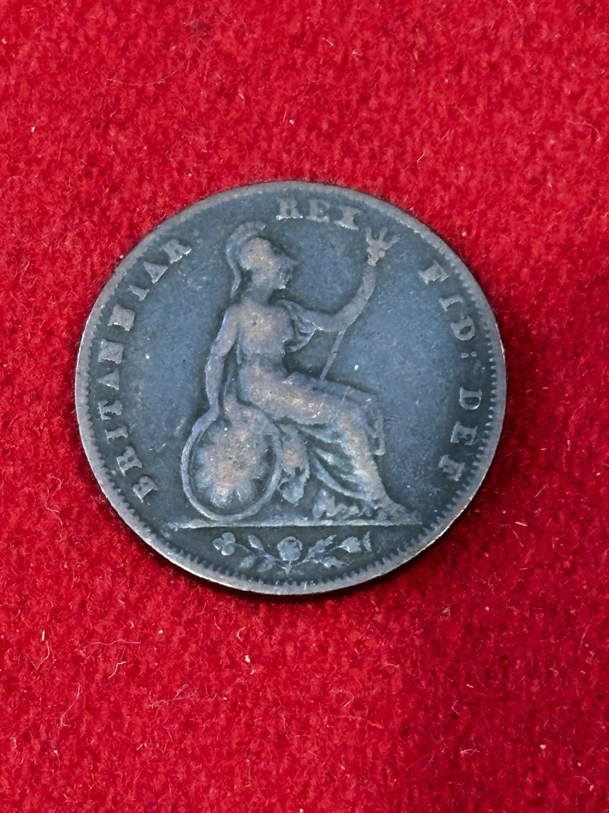 47262649