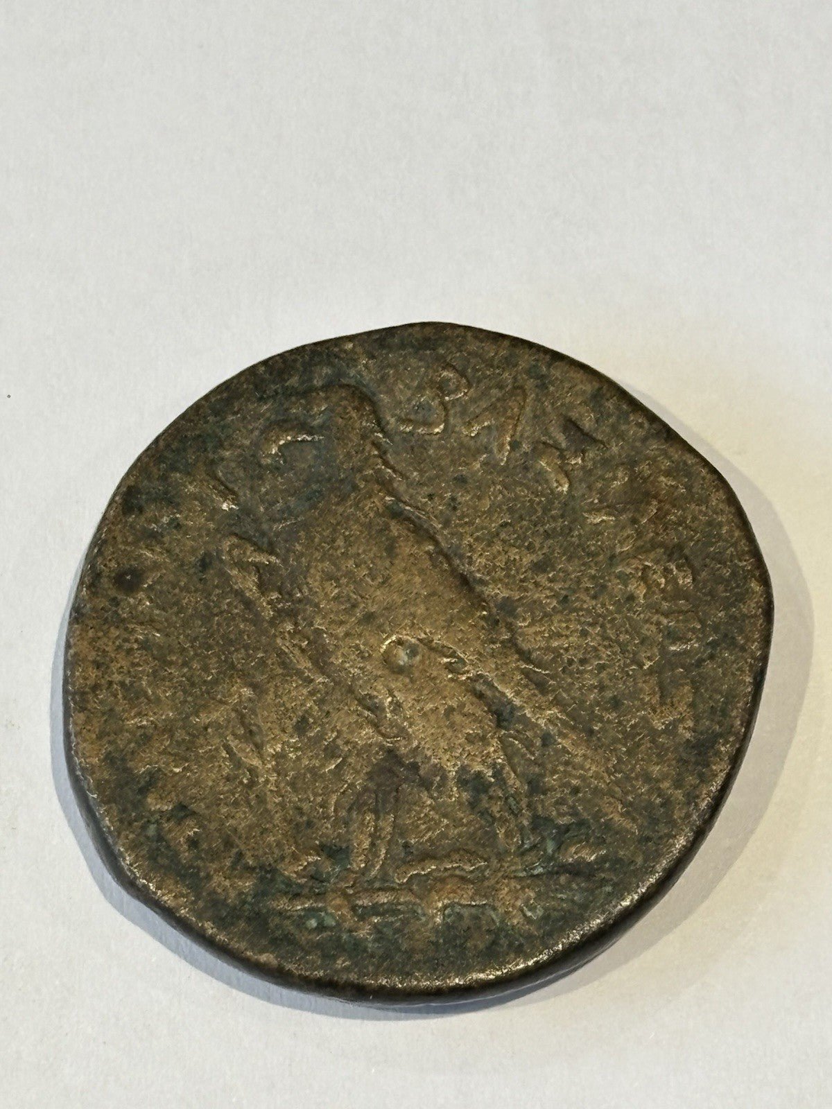45734313