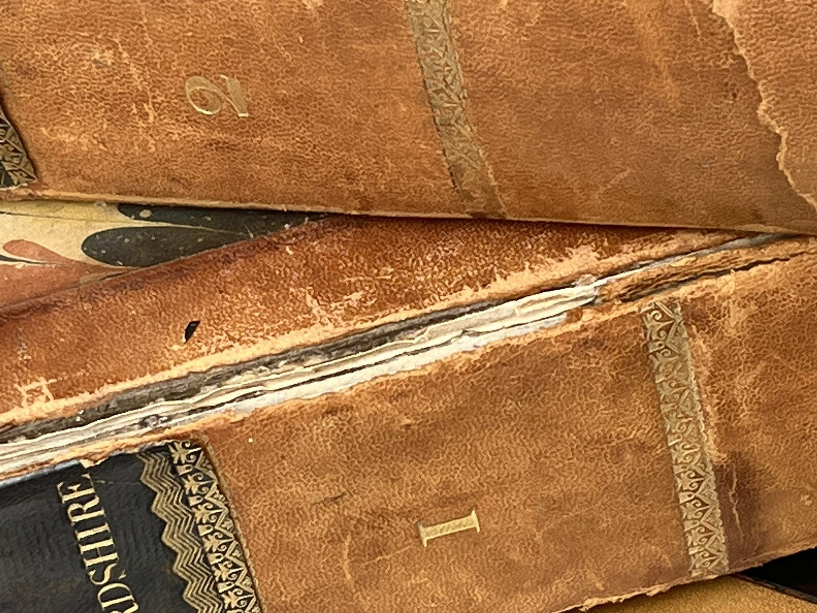 47653267