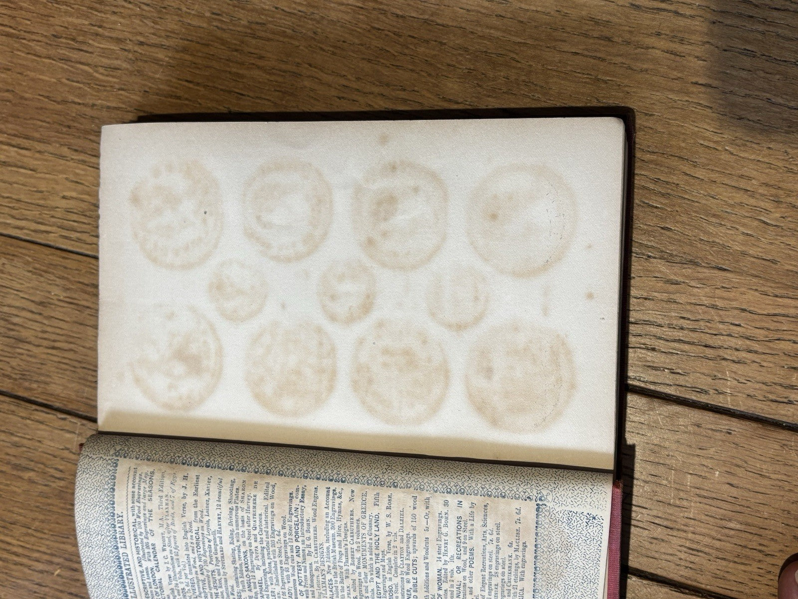 45680634
