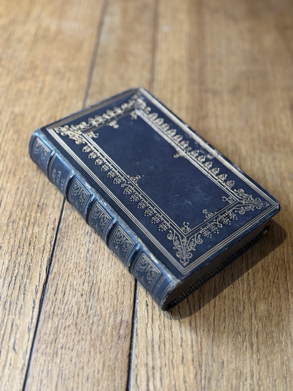 47655909